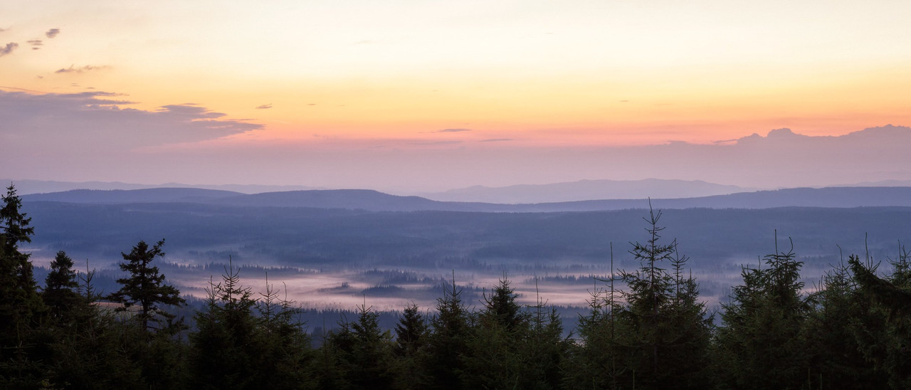 Zieleniec, photograph 1 by Łukasz Szmigiel