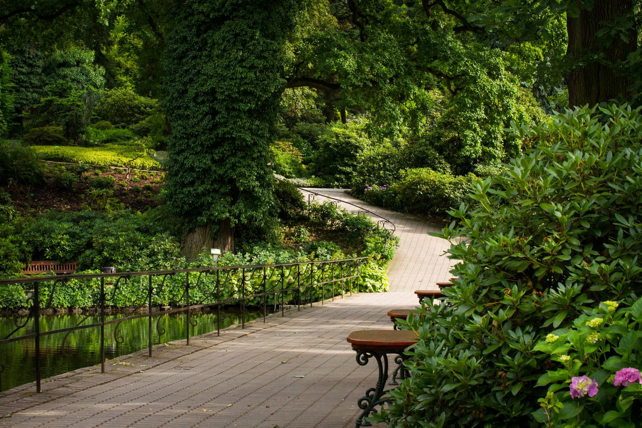 Arboretum, photograph 5 by Łukasz Szmigiel