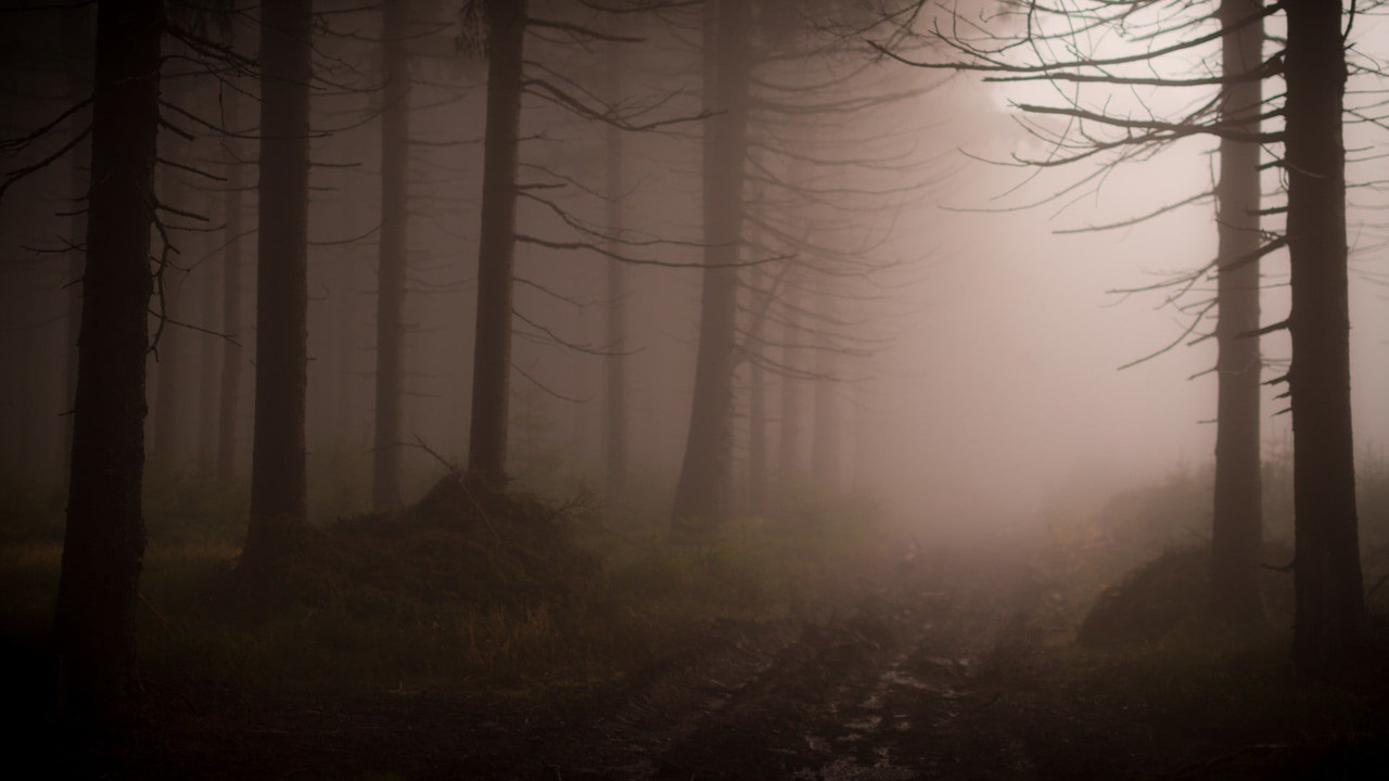 The Element of Solitude, photograph 13 by Łukasz Szmigiel