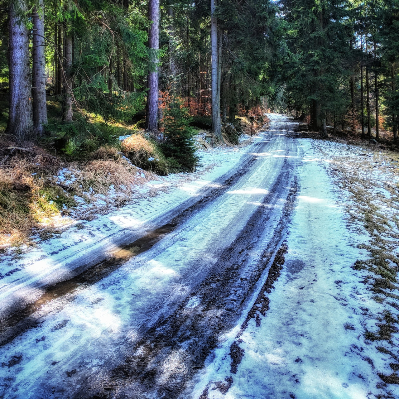 Trail, photograph 4 by Łukasz Szmigiel