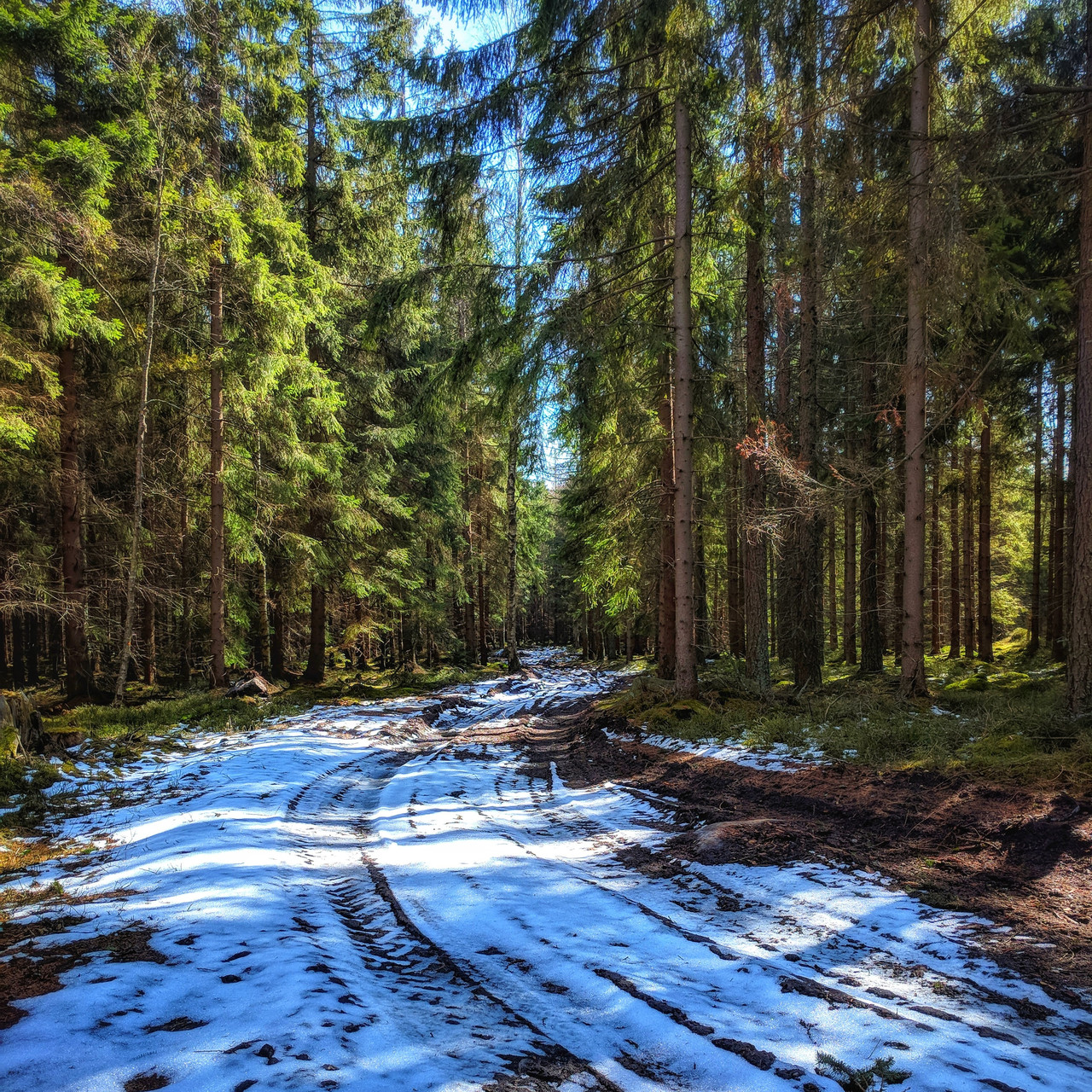 Trail, photograph 8 by Łukasz Szmigiel