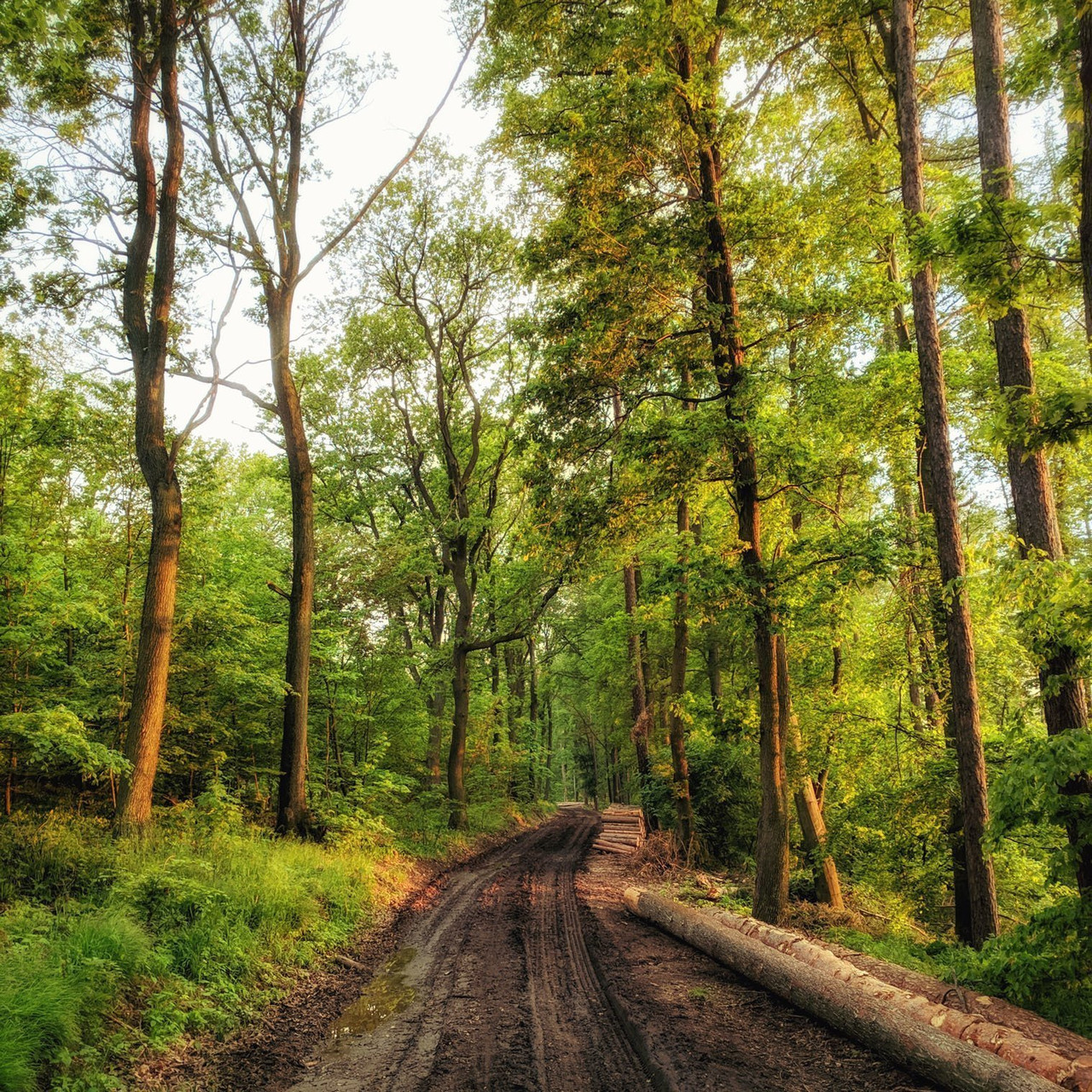 Trail, photograph 15 by Łukasz Szmigiel