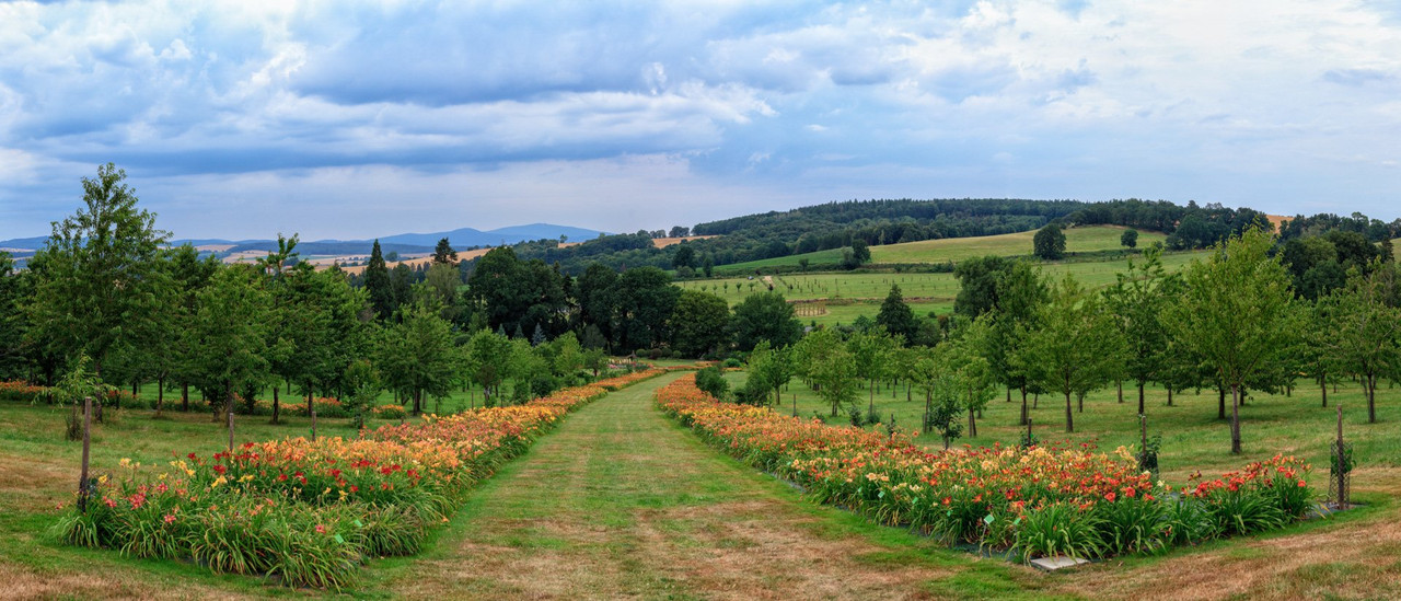 Arboretum, photograph 8 by Łukasz Szmigiel