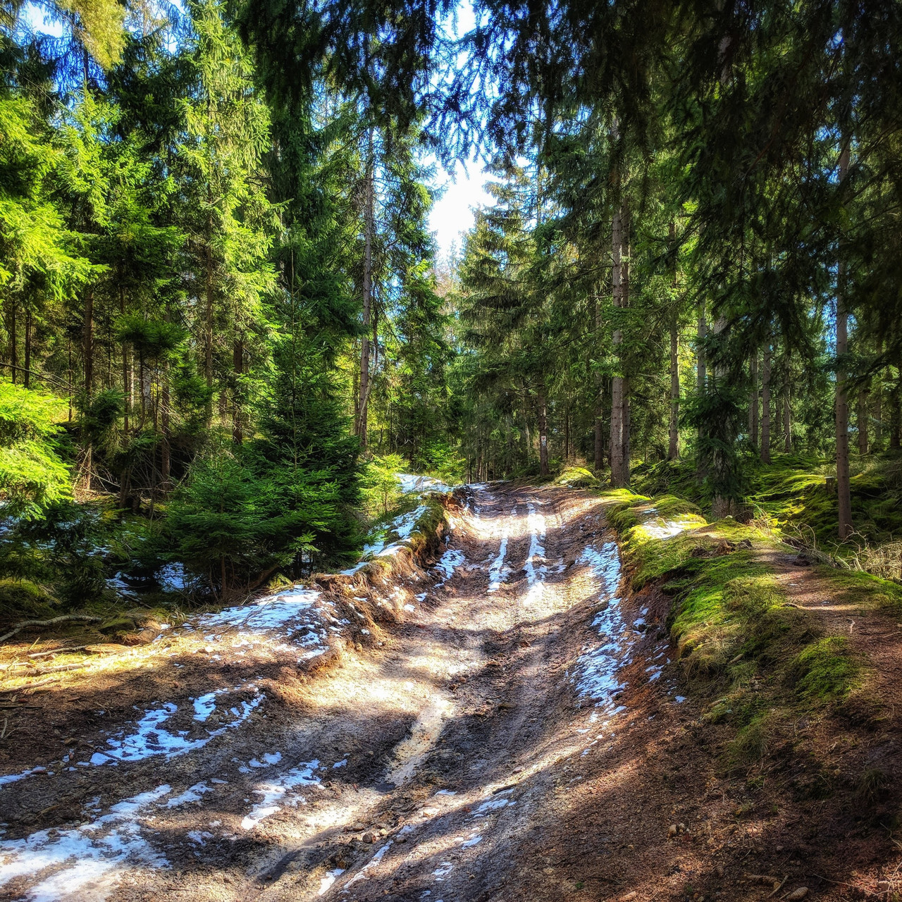 Trail, photograph 13 by Łukasz Szmigiel